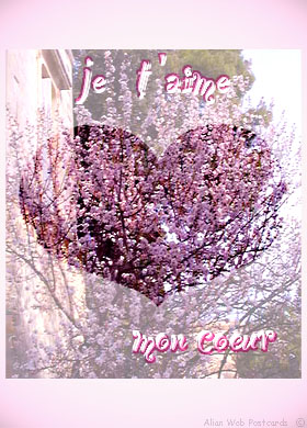 tu me manque
